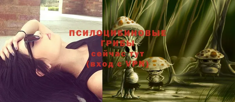 мориарти официальный сайт  Голицыно  Псилоцибиновые грибы Psilocybine cubensis  мега ССЫЛКА 